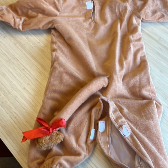 Little Lion Baby Costume - Picture 14 of 14